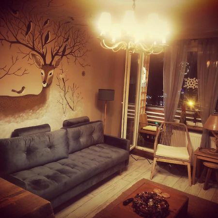 Exquisite 3 Room Apartment In The Heart Of Thetown Câmpulung Moldovenesc Exterior foto